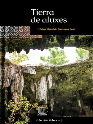cover image of Tierra de aluxes